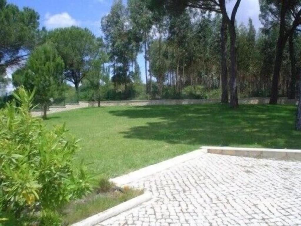 הוילה São João da Ribeira Quinta Do Alto Dos Pinheiros מראה חיצוני תמונה