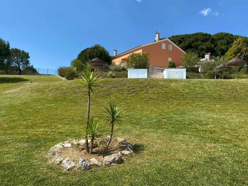 הוילה São João da Ribeira Quinta Do Alto Dos Pinheiros מראה חיצוני תמונה